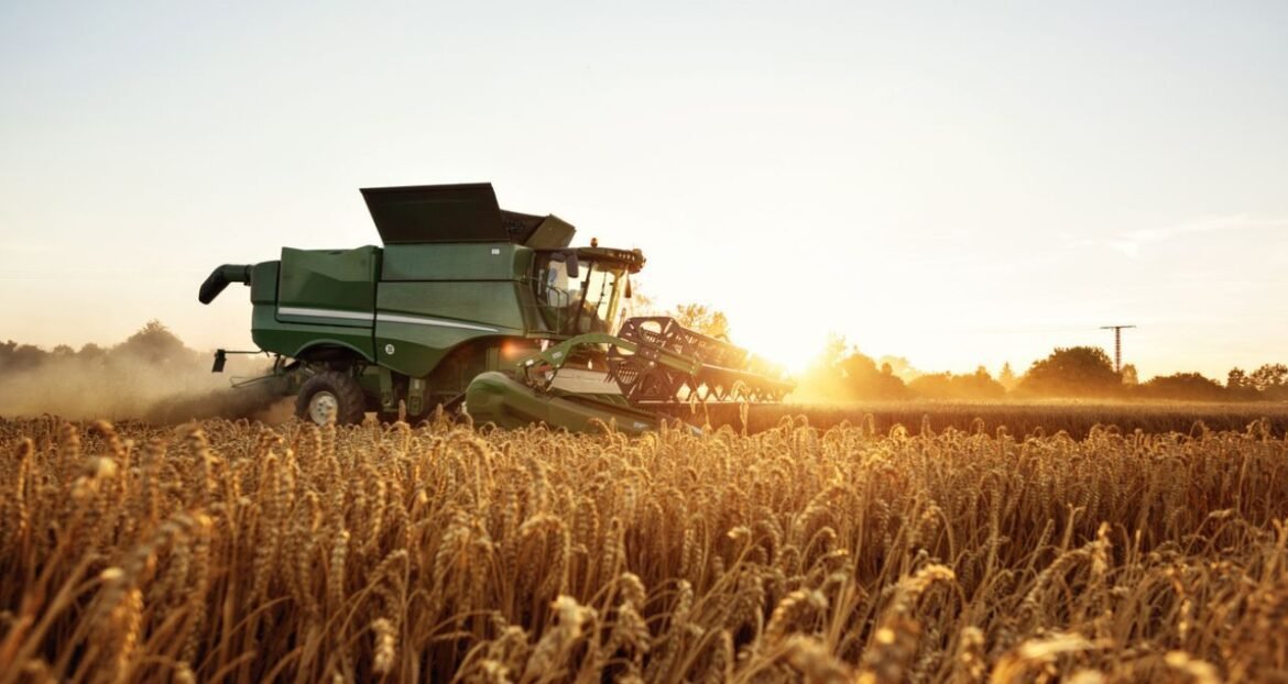 Levantamento revela as ações preferidas do setor agro em maio; descubra qual é a líder.