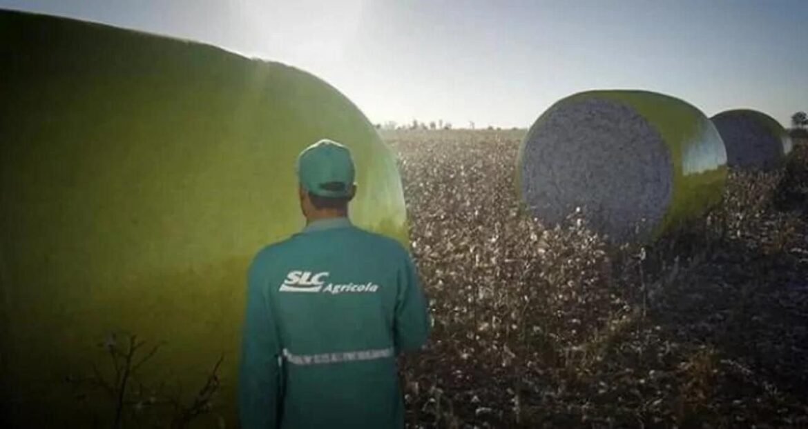 Lucro despenca 53,8%, chegando a R$ 236 milhões no 1T26