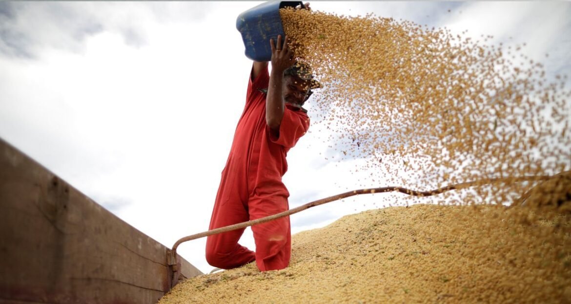 Pibão? Economia pode crescer 1% no 1T26; descubra os fatores por trás desse aumento.