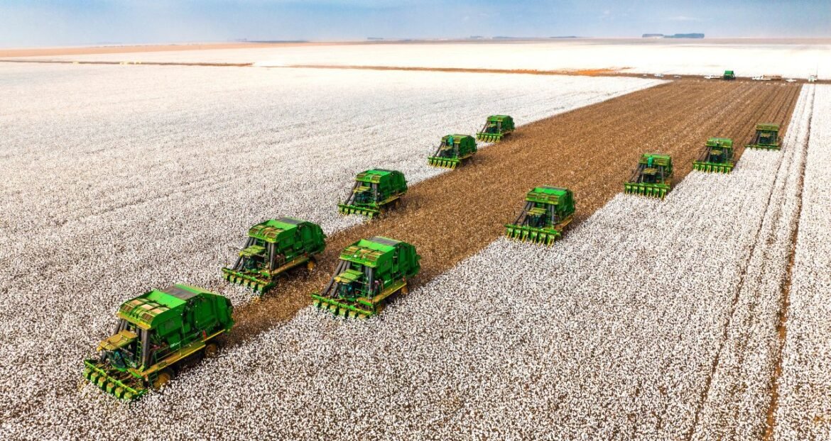 SLC Agrícola (SLCE3) adotará estratégias para reduzir riscos na safra 2026/27 diante do El Niño e elevados custos de fertilizantes
