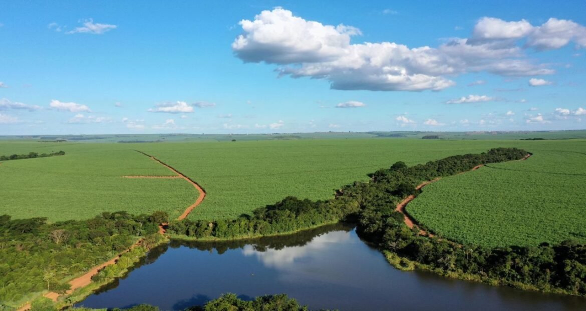 São Martinho (SMTO3) firma parceria com a Vivo para expandir internet em quatro usinas.