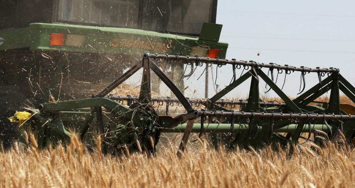 Amplos Estoques Mundiais de Grãos Podem Reduzir os Efeitos do El Niño