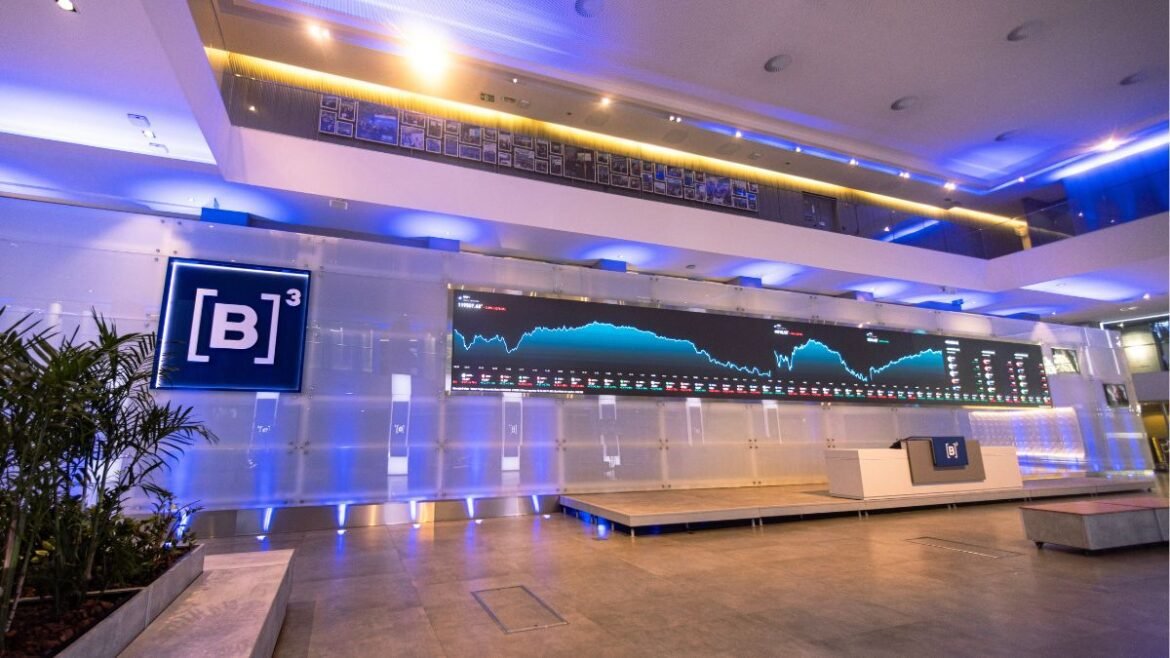 Ibovespa Hoje: Entenda o Funcionamento da B3