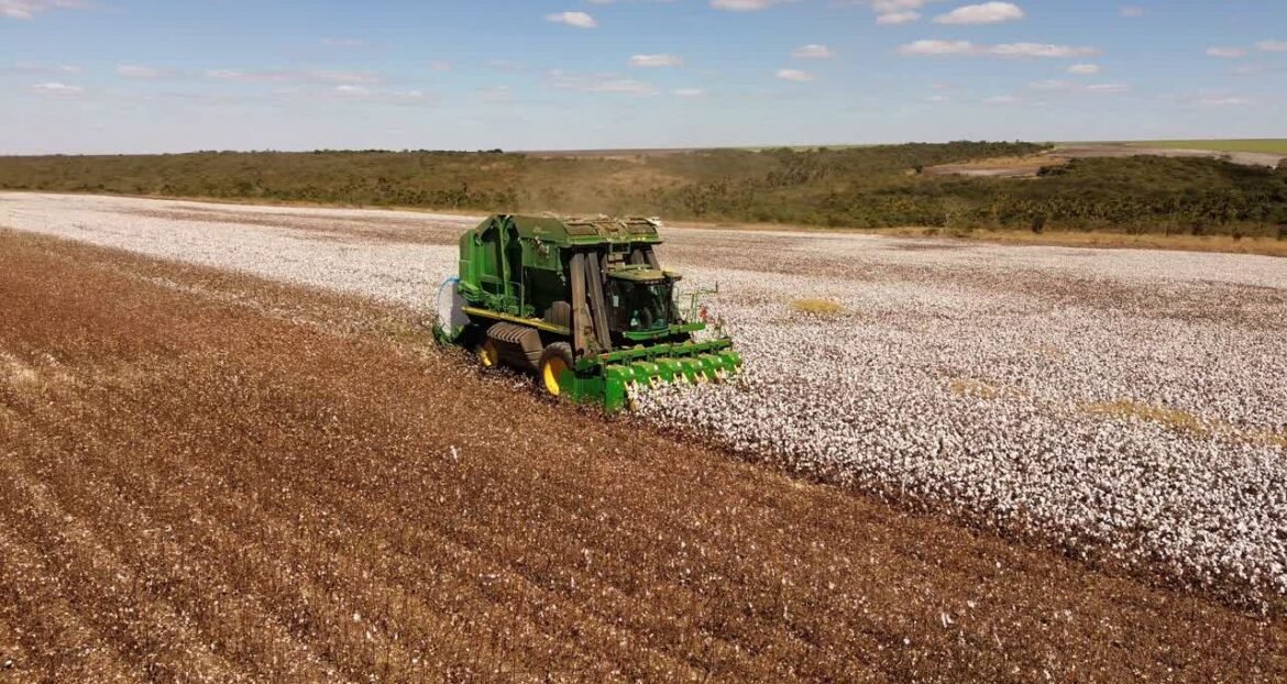 JP Morgan considera a aquisição de terras da Radar pela SLC Agrícola (SLCE3) negativa para as ações, apesar do potencial estratégico.