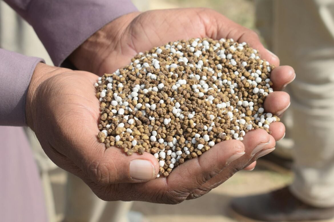 Arroz, café, trigo e outros: o impacto da crise dos fertilizantes em um ano de El Niño sobre os preços.