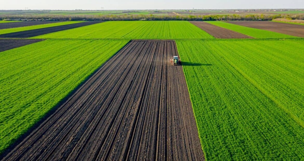BrasilAgro (AGRO3) aprova financiamento de até R$ 200 milhões com Banco do Brasil e aumenta flexibilidade para operações de hedge.