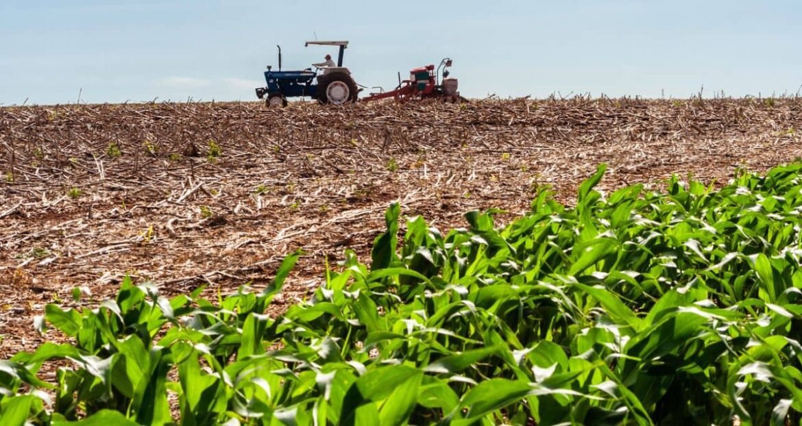 Fertilizantes se destacam no 2T26, mas o forte impulso pode ter chegado ao fim; é hora de comprar?