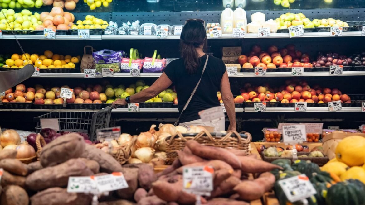 Relatório da Inflação CPI – Julho de 2026